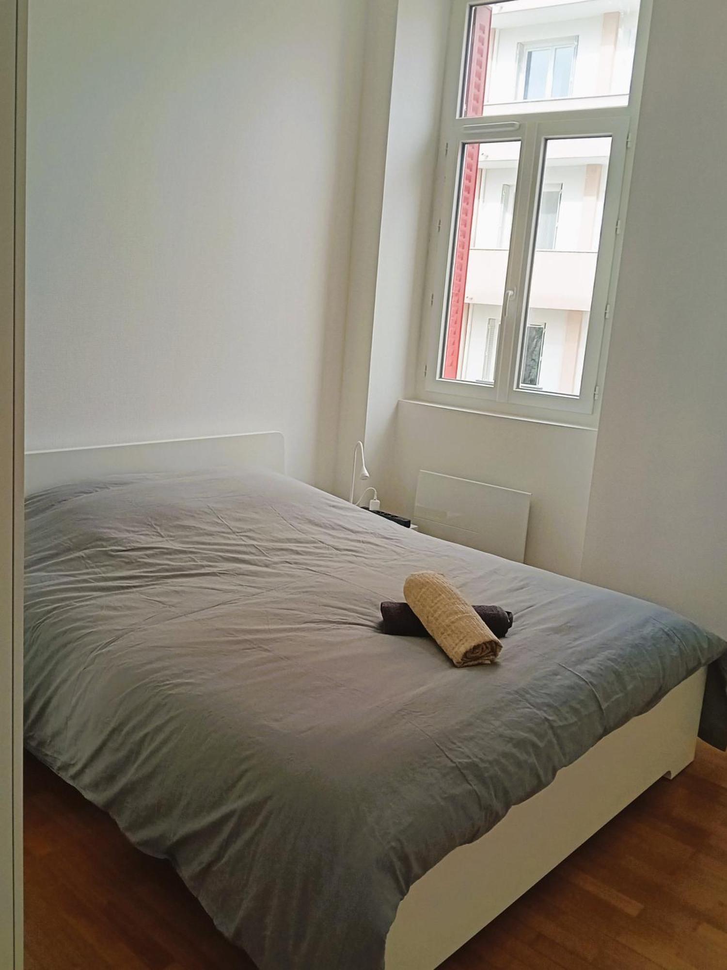 101 - Appart Renove Avec 1 Chambre Spacieuse - Tram Et Clinique Mutualiste A 1 Min 格勒诺布尔 外观 照片